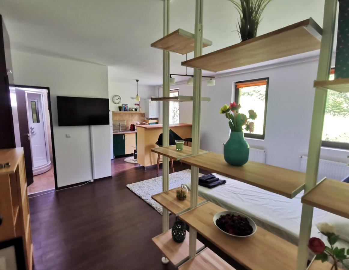 Studio Azuga Extérieur photo