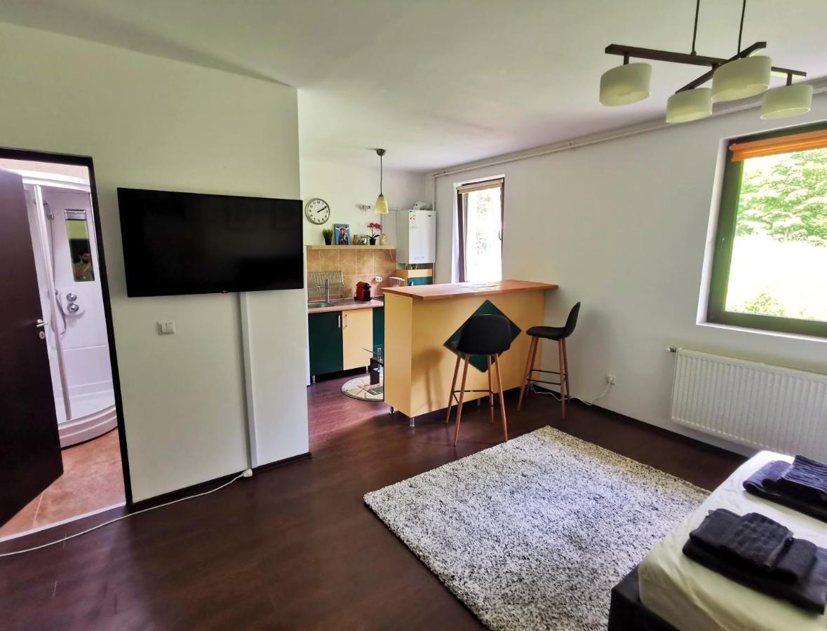 Studio Azuga Extérieur photo